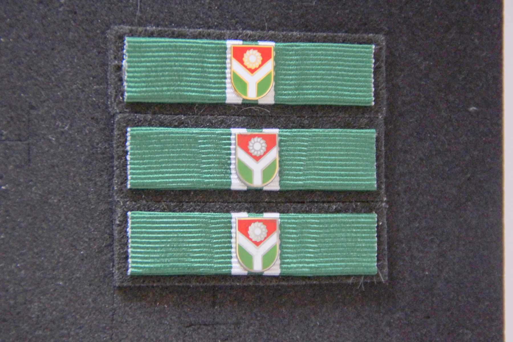 Pucking FW VK Bandspangen