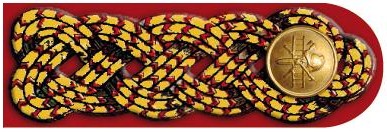 1893 Verbands-Obmann