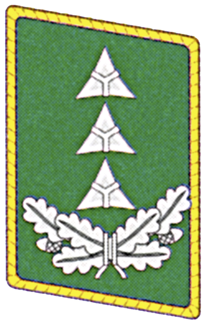 Regierungsbauassessor KS links